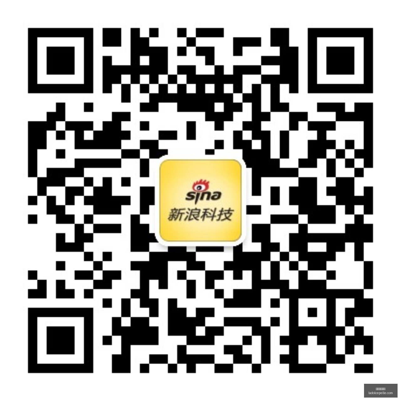 港澳青年军,营体验活动,广州盛大开,大发彩票官网,大发彩票官网App,大发彩票官网下载,大发彩票官网登录,大发彩票官网平台